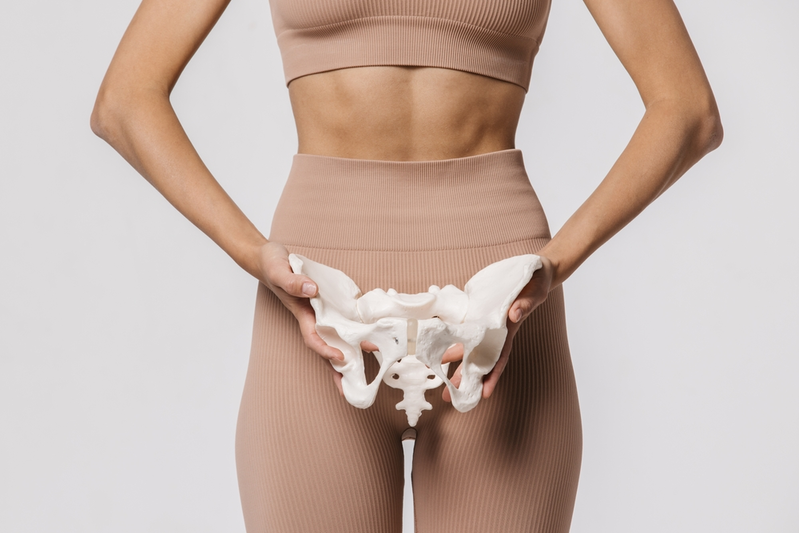 female_pelvis_womens_healthcare