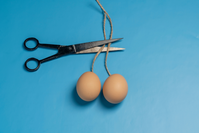 vasectomy